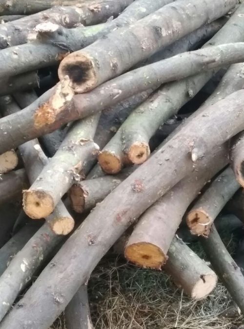 charcoal manufacturer