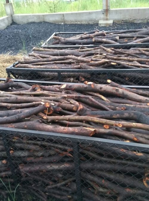 charcoal manufacturer