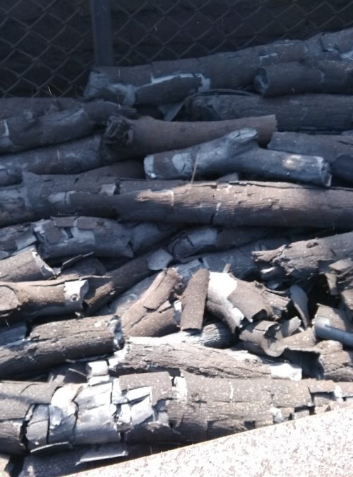 charcoal manufacturer
