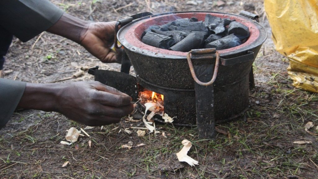 Charcoal for household